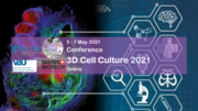 Dechema 3D Cell Culture 2021 - 3D ex vivo imaging